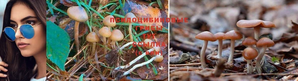 каннабис Абаза