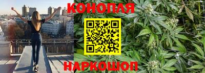 каннабис Бердск